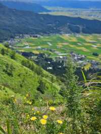 “絶景駐車場”として気軽に立ち寄れる、ドライブで楽しむ阿蘇の眺望スポット