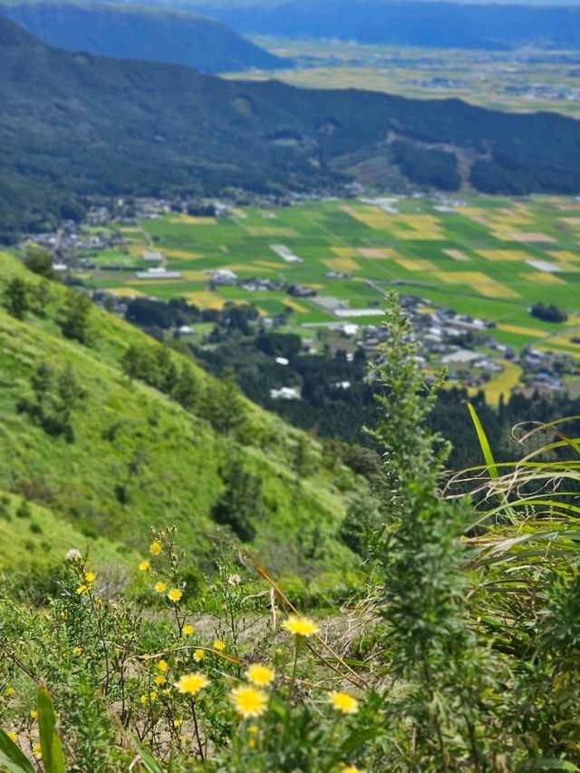 “絶景駐車場”として気軽に立ち寄れる、ドライブで楽しむ阿蘇の眺望スポット
