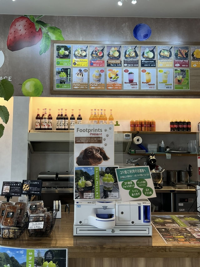 【愛知•犬山】犬山城すぐ近くにある絶品フルーツパフェが美味しすぎたー！