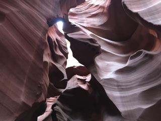 【アリゾナ】オススメスポット