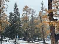 Altay's First Snow: A Magical October Transformation ❄️🏔️