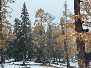 阿勒泰的第一場雪：十月的神奇蛻變❄️🏔️