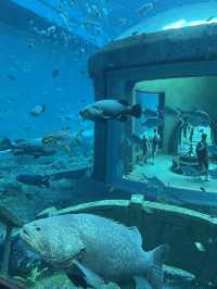 อความเรียมในสวนสนุก Vinwonders🐋