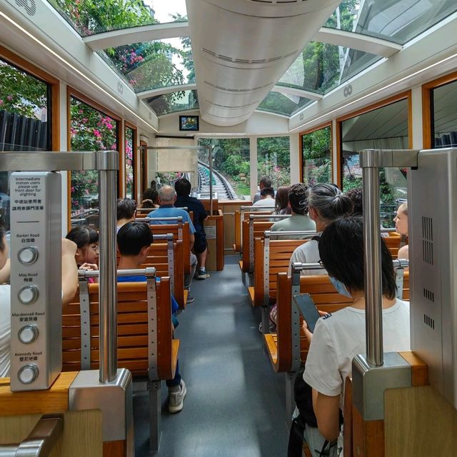 香港太平山頂遊