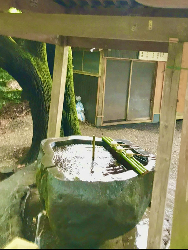 킨린호수 산책 & 자전거 데이트🚲🌿