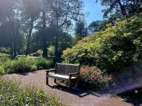 Riga’s Botanical Garden