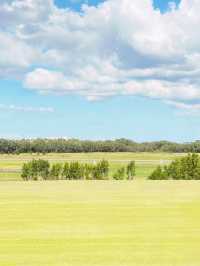🌿 Brisbane's Hidden Gem: The Enchanting Meadow Under Endless Blue Skies! ☁️