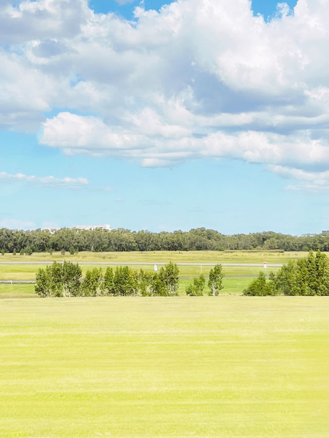🌿 Brisbane's Hidden Gem: The Enchanting Meadow Under Endless Blue Skies! ☁️