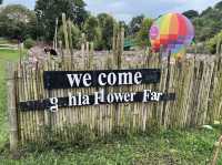 Songkhla Flower Farm