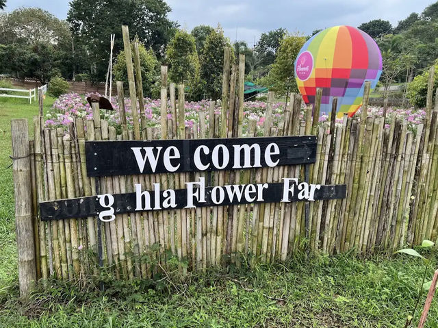 Songkhla Flower Farm