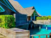 Milandhoo Island Maldives Hotel – A Hidden Gem for Peace Seekers