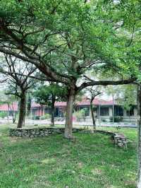 Unwind in Nature at Paya Indah Wetlands: Where Hippos Meet Serenity