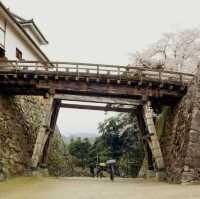 The Gentleman's Fortress: My Solo Visit to Hikone Castle, Shiga