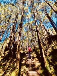 薄霧中的藍寶石——翠峰湖與望洋山漫步記
