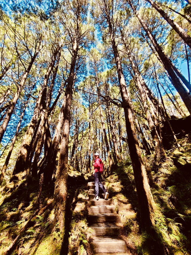 薄霧中的藍寶石——翠峰湖與望洋山漫步記