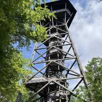 Loorenkopf Tower – Zurich’s Forest Lookout with a City View