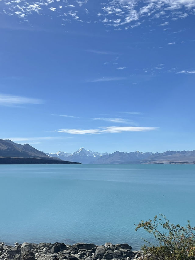【ニュージーランド・サウスアイランド】青い絶景と美味しいサーモン「Lake Pukaki」🌄🐟