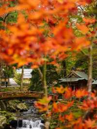 美しい6角形の塔(写経を納める塔)と紅葉の美しさ。