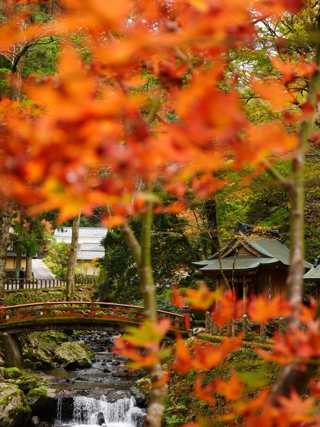 美しい6角形の塔(写経を納める塔)と紅葉の美しさ。
