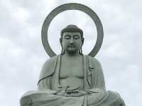 【富山・高岡】日本三大仏のひとつ！優しい表情が魅力の高岡大仏🕊️✨