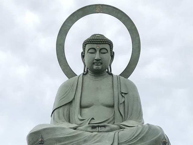 【富山・高岡】日本三大仏のひとつ！優しい表情が魅力の高岡大仏🕊️✨
