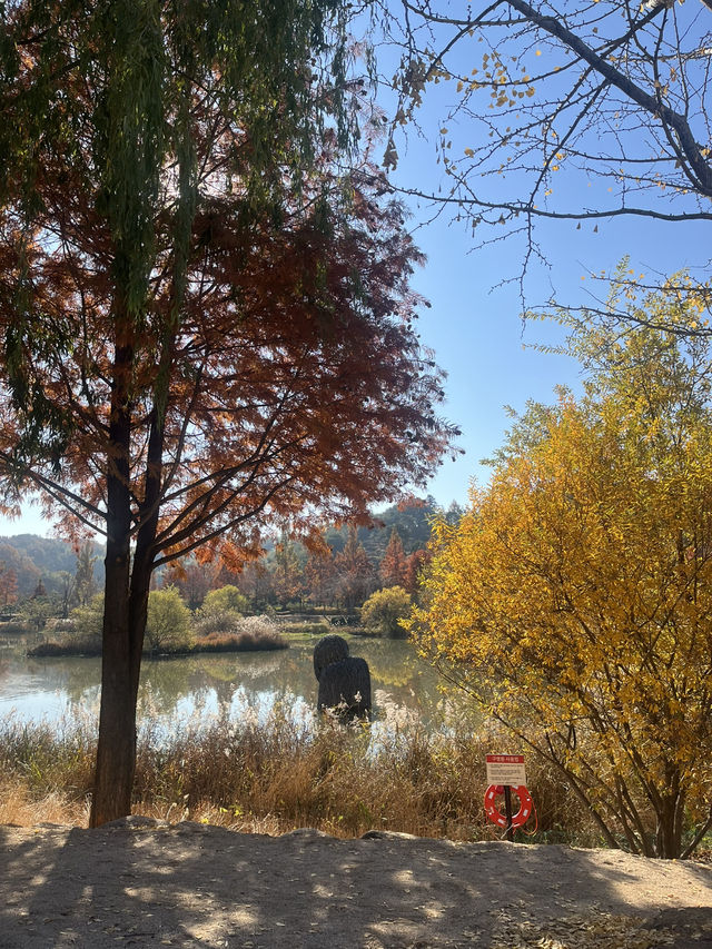 가을을 만끽할수있는 너무 아름다운 순천만국가정원!🍁🍁