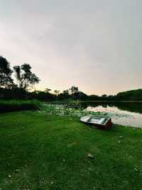 Tranquil Evenings at Taman Tasik Cyberjaya