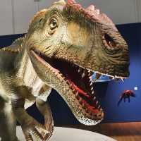 Landesmuseum Hannover – A Grand Showcase of Art, Nature, and Culture