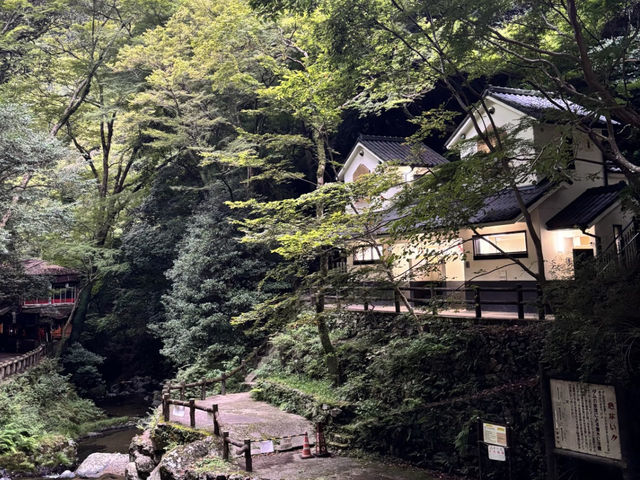 Osaka Day Trip: Mountain Temple & Waterfall Escape! ⛰️💦