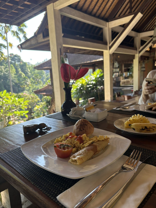 【バリ島おすすめホテル🇮🇩】ウブドエリア　チャンプアンホテル🌴✨
