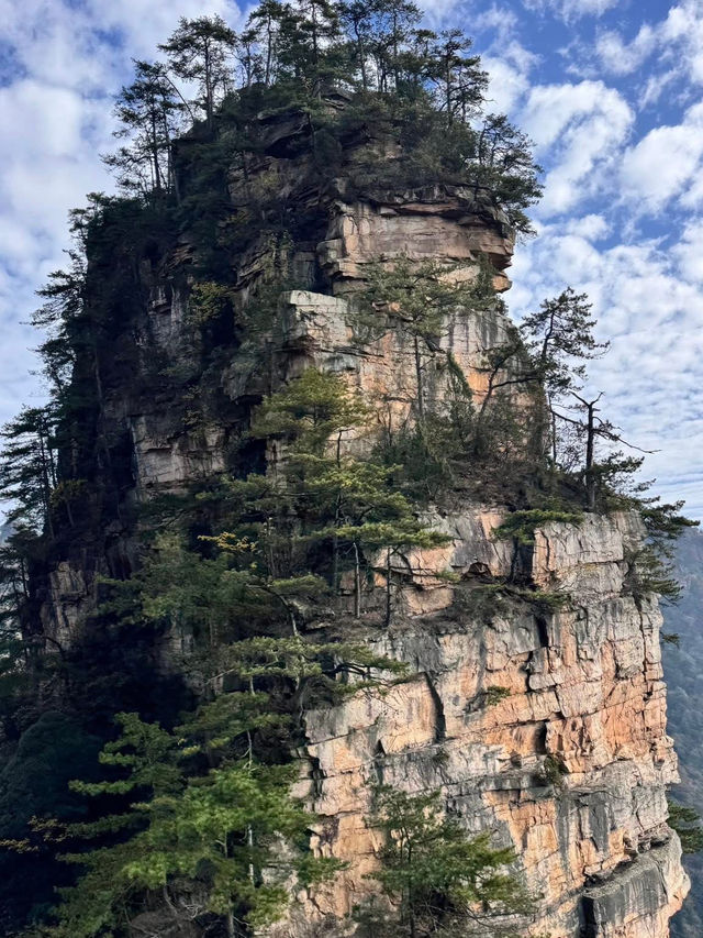 中國湖南張家界一日遊 武陵源 張家界 天子山 金鞭溪 中國湖南張家界一日遊 武陵源 張家界 天子山 金鞭溪