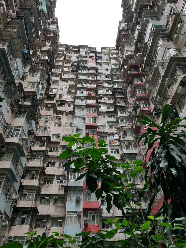 Why Hong Kong Is My Ultimate Foodie Paradise 🇭🇰🔥