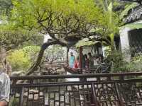 Fall Walks Yu Garden🍁  