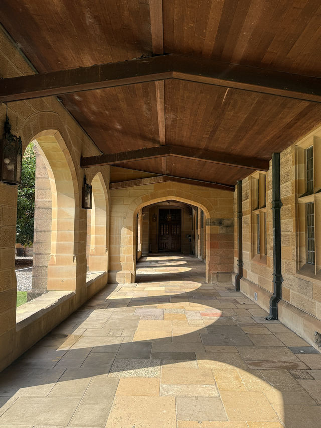 호주에서 만나는 해리 포터 학교! 시드니 대학교의 고딕 건축 캠퍼스📚 호주에서 만나는 해리 포터 학교! 시드니 대학교의 고딕 건축 캠퍼스📚