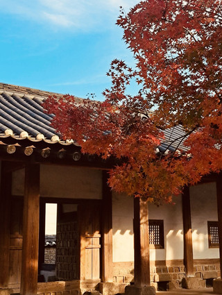 A Historical Canvas of Red and Gold