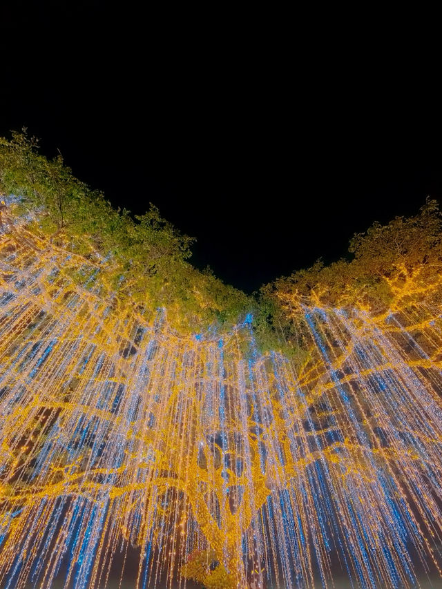 Magical Evenings at Villar City Heritage Tree 🎄✨ Magical Evenings at Villar City Heritage Tree 🎄✨