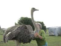 地下星河/懷託摩螢火蟲洞