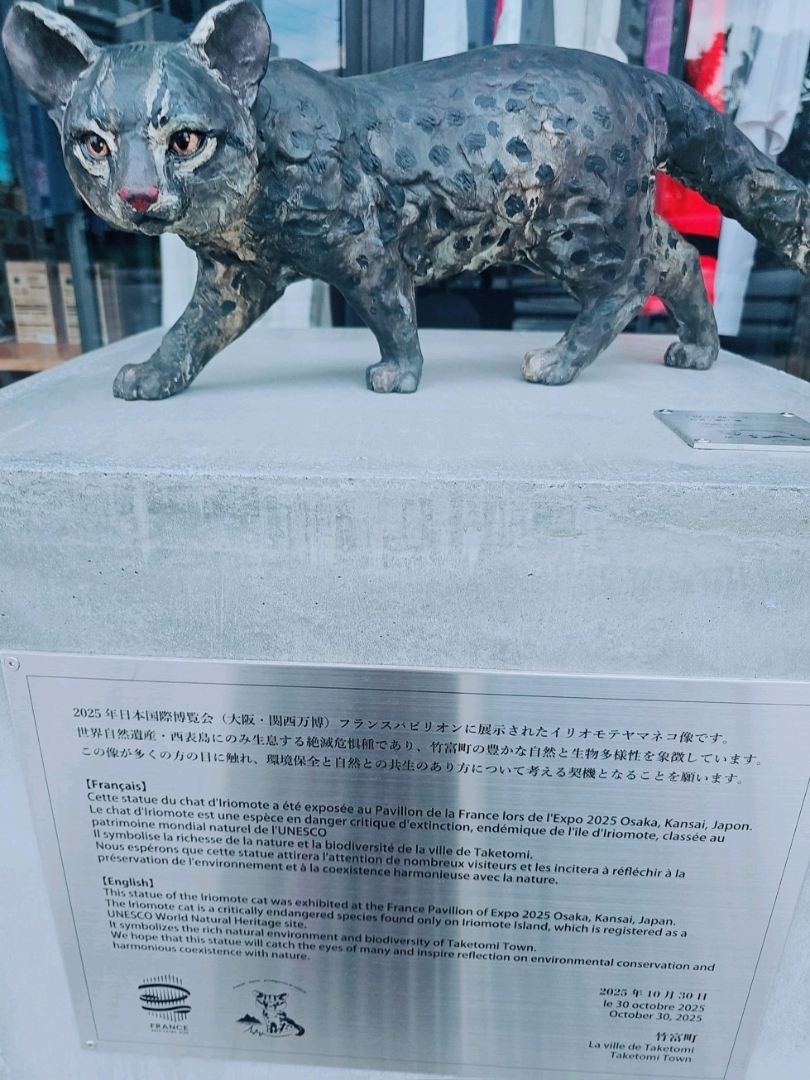 沖縄•石垣島】大阪万博のイリオモテヤマネコ像が石垣島に登場！ | Trip