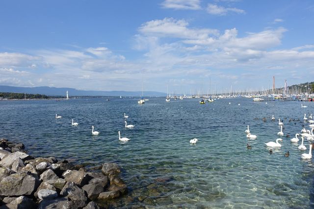 來瑞士旅遊必訪的日內瓦湖