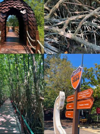 การท่องเที่ยวอย่างยั่งยืนในพื้นที่ชุ่มน้ำเซติอู: การอนุรักษ์สมบัติแห่งธรรมชาติ