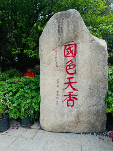 初めて訪れた白馬寺、本当に「仏教の源」を感じました。 | Trip.com