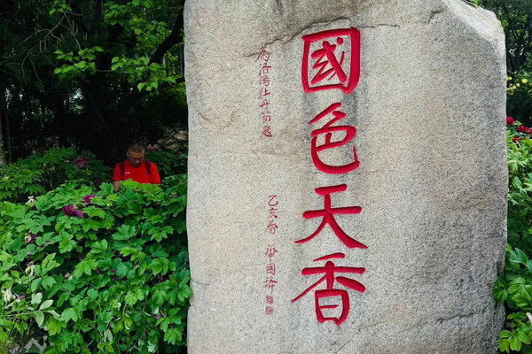 初めて訪れた白馬寺、本当に「仏教の源」を感じました。 | Trip.com