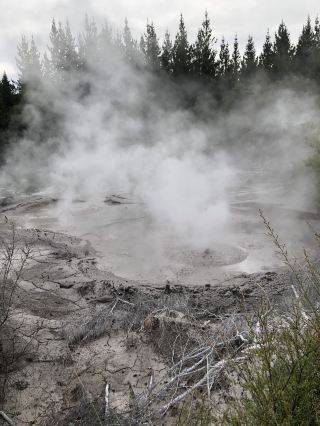 [New Zealand North Island Road Trip] Days 10–11: Stepping Into a Geothermal Wonderland! Rotorua Geysers, Mud Pools, and Redwood Forest Adventures.