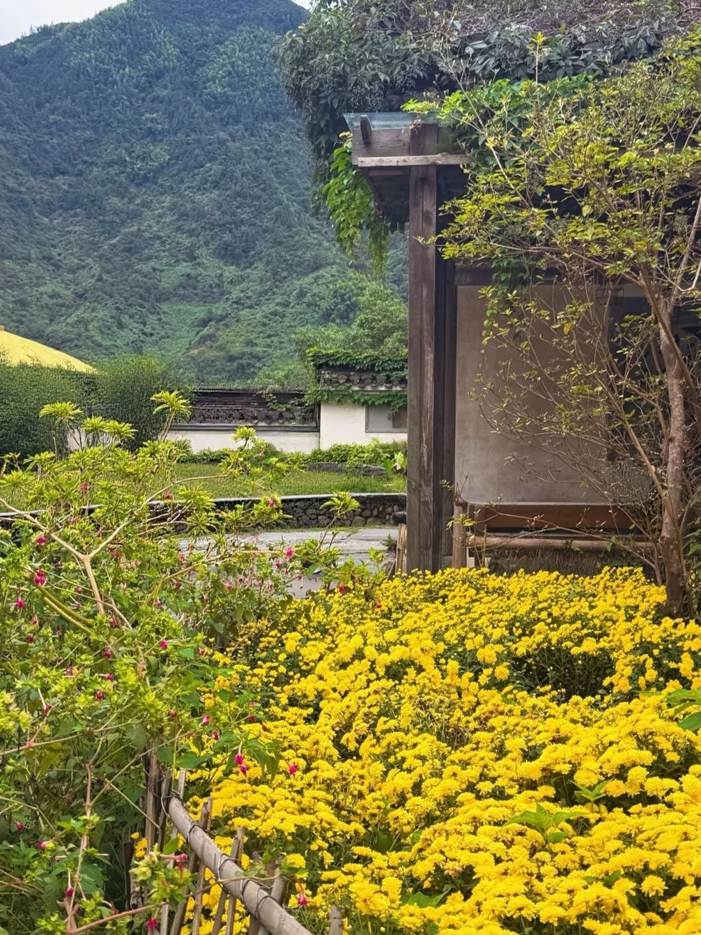 一個小小的發現，讓我的黃陵之旅變得特別