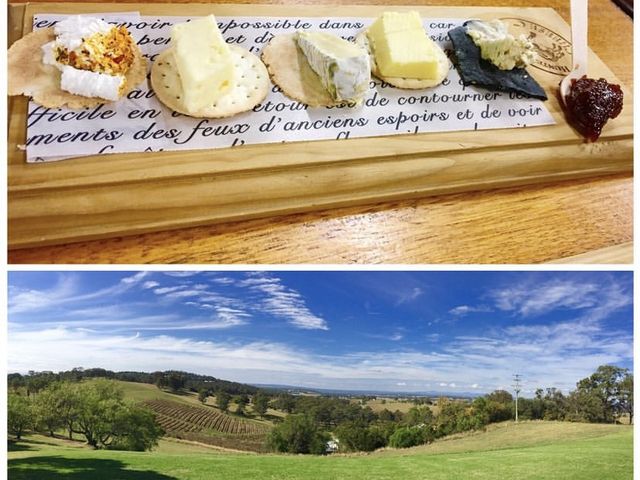 [Must-go] Wine Tasting Tour in Aus