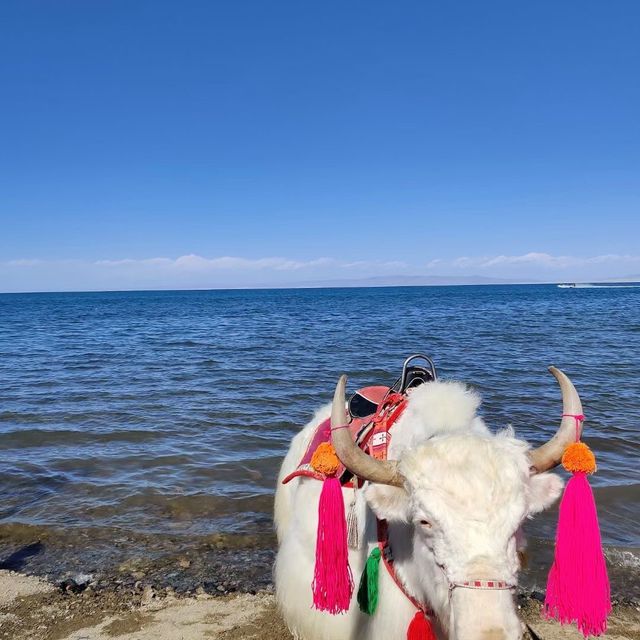 The largest Saltwater Lake in China, Qinghai
