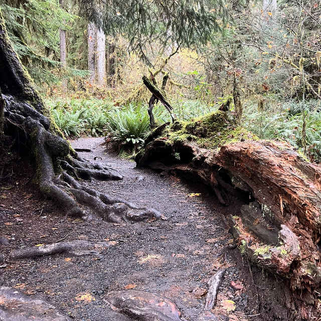 Hiking beauty that lasts in unforgettable moments 