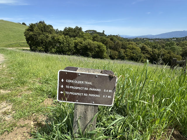 自然保護區途步旅行