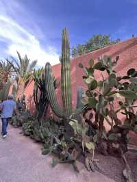 Marrakech ✨: Jardin Majorelle & the World of Yves Saint Laurent