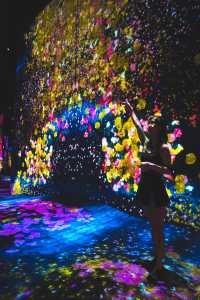 Dive Into a DreamWorld at teamLab SuperNature Macao – Art, Tech & Nature Collide!